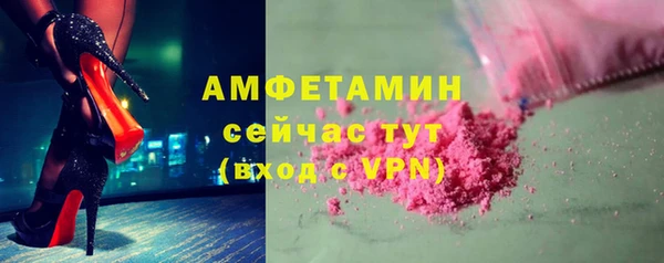 индика Тында