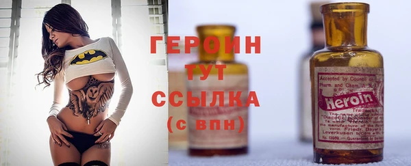 индика Ельня