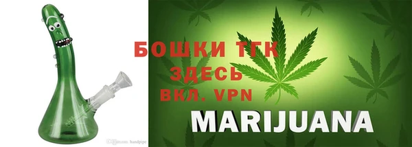 индика Тында
