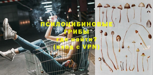марки lsd Туринск