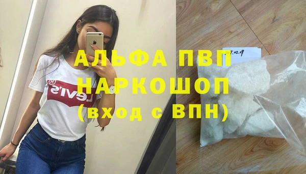 индика Тында
